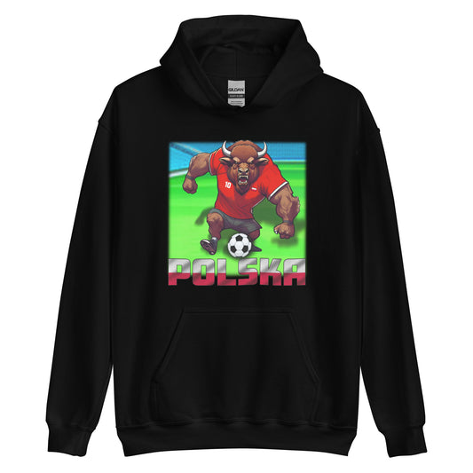 Poland European Championship Football Jersey Alternative Unisex Hoodie