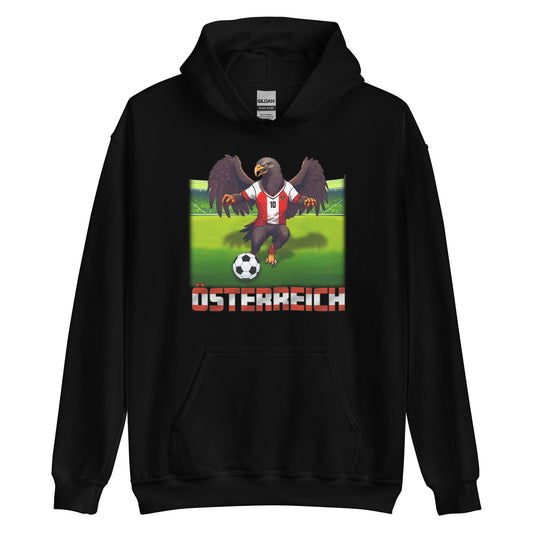 Austria European Championship Football Jersey Alternative Unisex Hoodie
