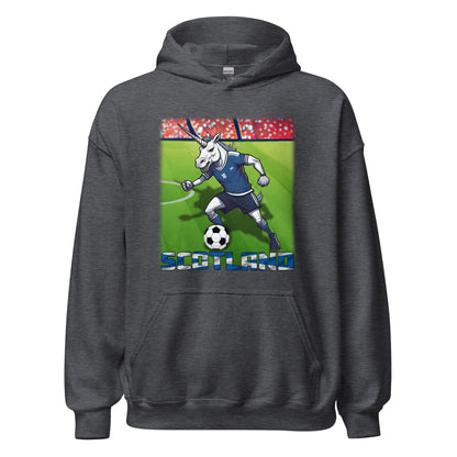 Schottland EM Fußball Trikot Alternative Unisex-Kapuzenpullover