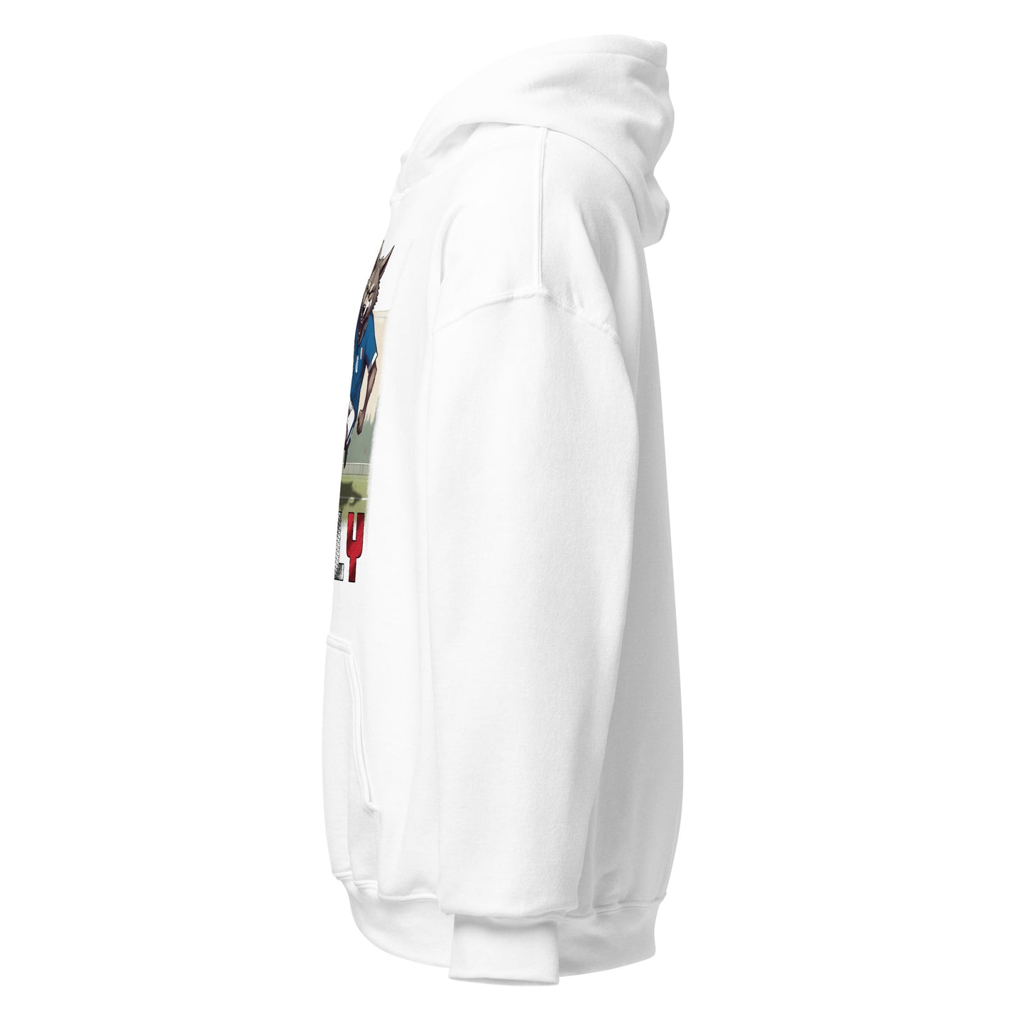 Sweat à capuche unisexe alternatif du maillot de football du Championnat d’Europe d’Italie