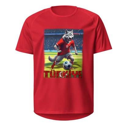 Türkiye European Championship Football Jersey Alternative Unisex Sports Jersey